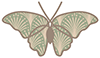 Gracious Living butterfly